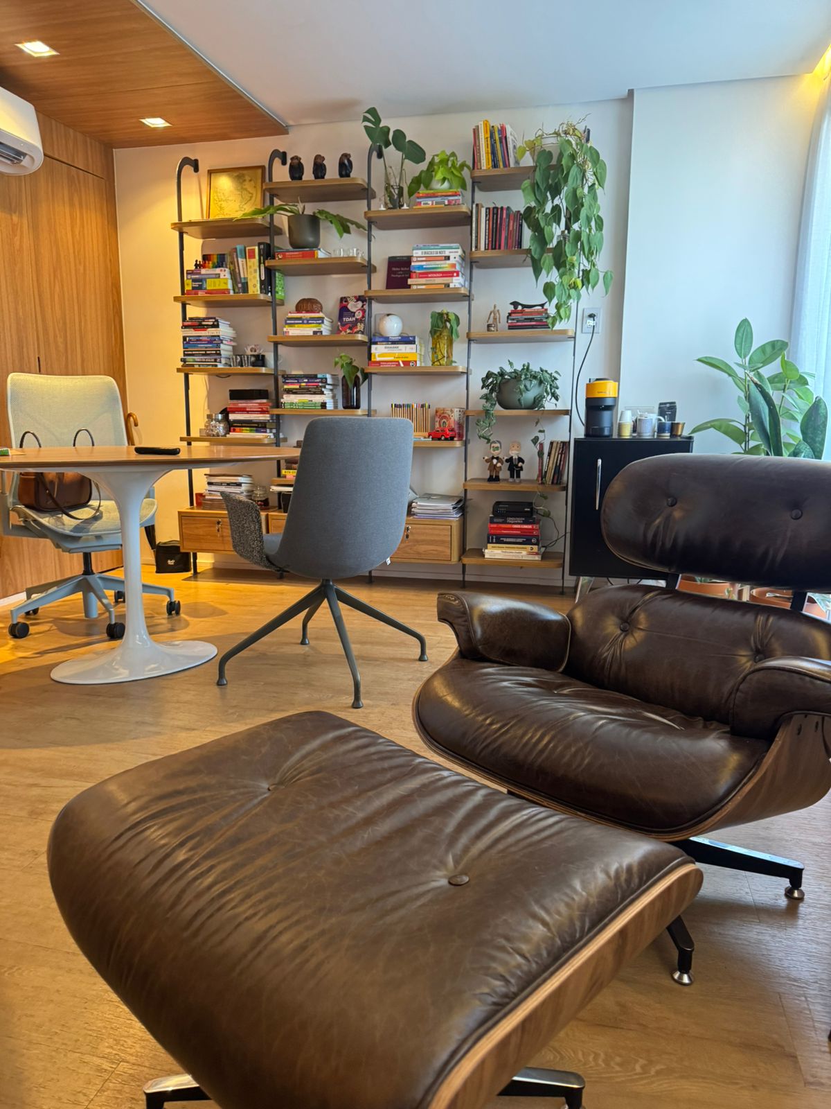 Consultório com poltrona Eames, cadeira cinza e plantas com luz natural
